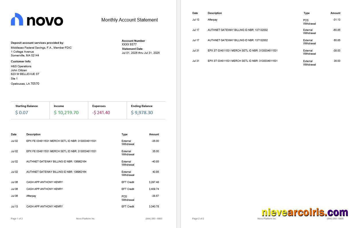 Novo Platform INC online business banking statement, 2 pages